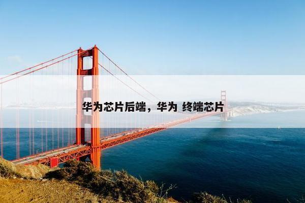 华为芯片后端，华为 终端芯片