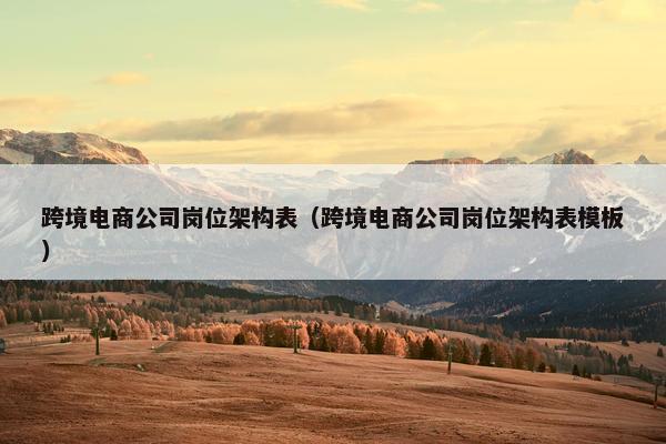 跨境电商公司岗位架构表（跨境电商公司岗位架构表模板）