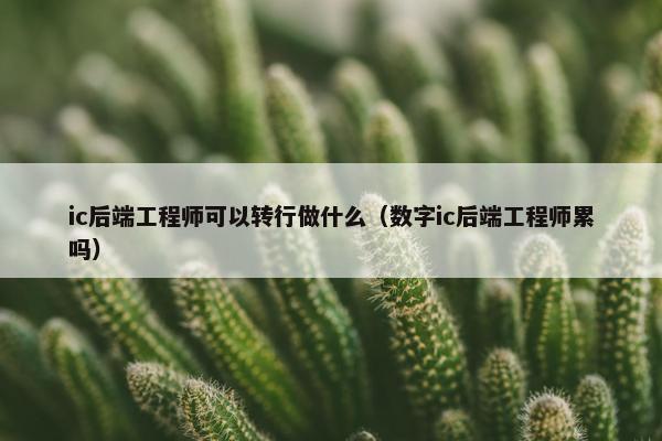 ic后端工程师可以转行做什么（数字ic后端工程师累吗）