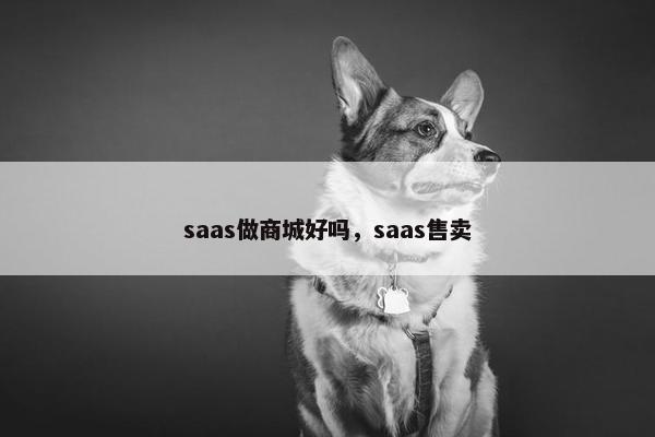 saas做商城好吗，saas售卖