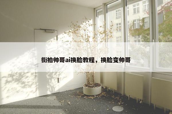 街拍帅哥ai换脸教程，换脸变帅哥