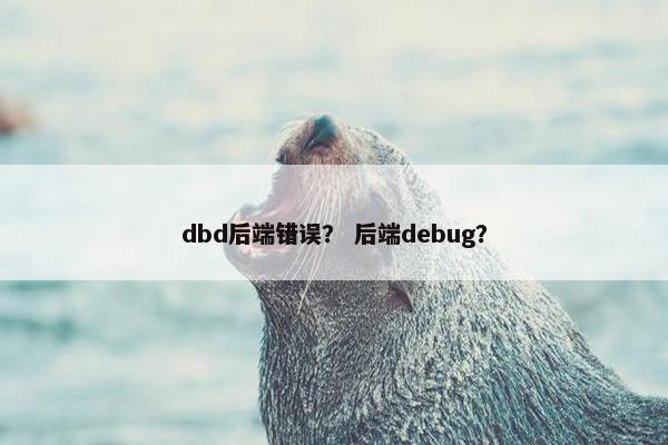 dbd后端错误？ 后端debug？