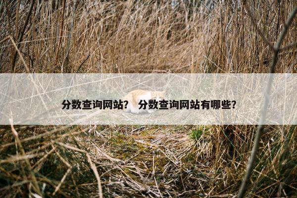 分数查询网站？ 分数查询网站有哪些？