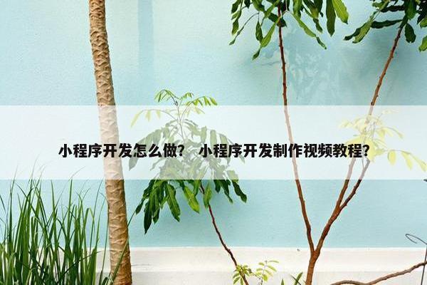 小程序开发怎么做？ 小程序开发制作视频教程？