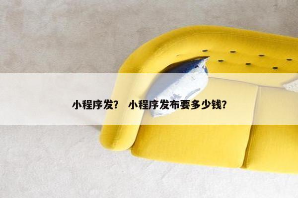 小程序发？ 小程序发布要多少钱？