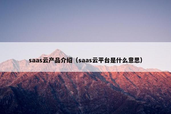 saas云产品介绍（saas云平台是什么意思）