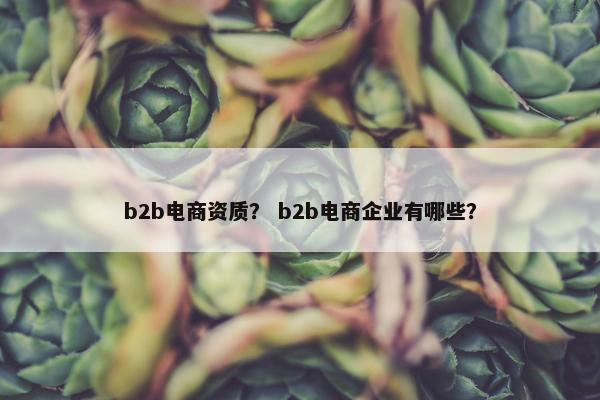 b2b电商资质？ b2b电商企业有哪些？