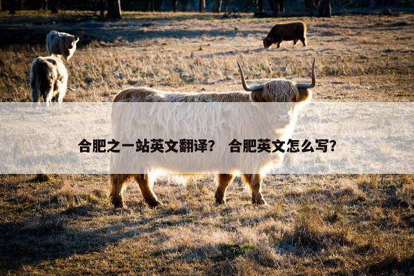 合肥之一站英文翻译？ 合肥英文怎么写？