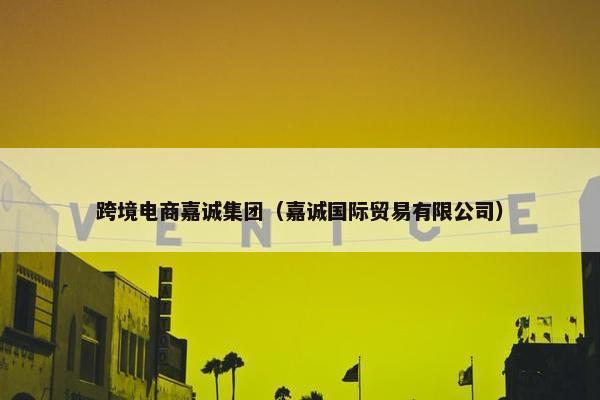 跨境电商嘉诚集团（嘉诚国际贸易有限公司）