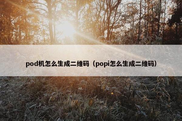 pod机怎么生成二维码（popi怎么生成二维码）