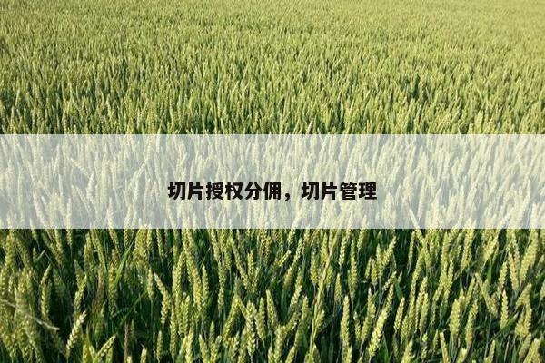 切片授权分佣,切片管理