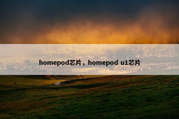 homepod芯片，homepod u1芯片