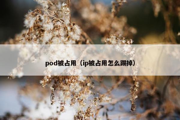 pod被占用(ip被占用怎么踢掉)