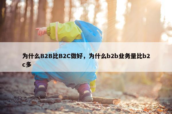 为什么B2B比B2C做好，为什么b2b业务量比b2c多