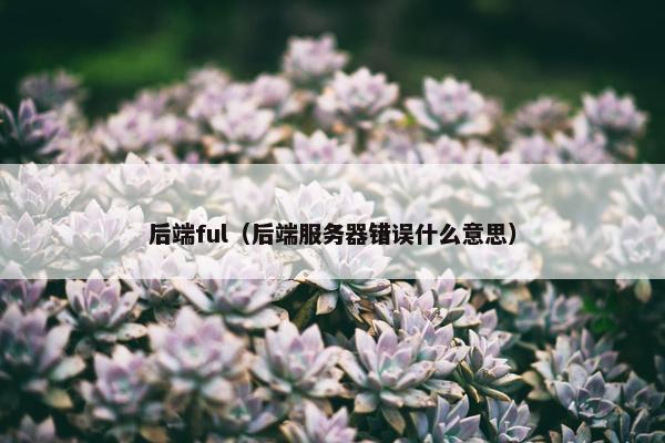 后端ful（后端服务器错误什么意思）
