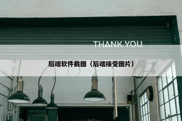 后端软件截图（后端接受图片）