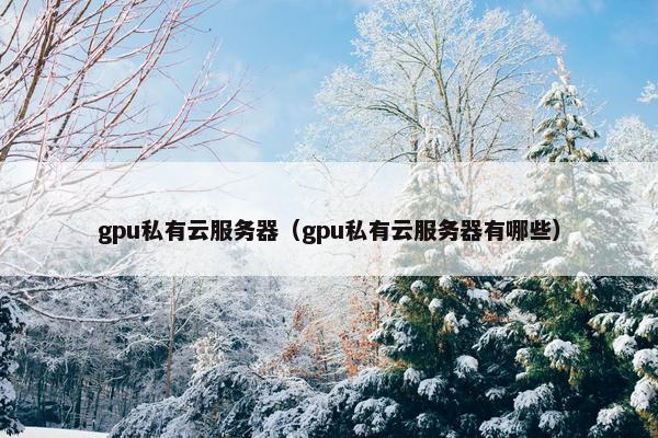 gpu私有云服务器（gpu私有云服务器有哪些）
