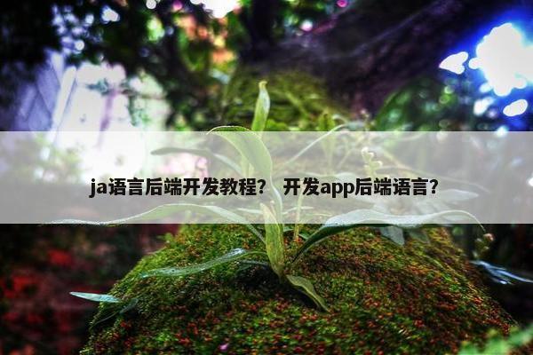 ja语言后端开发教程？ 开发app后端语言？