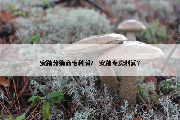 安踏分销商毛利润？ 安踏专卖利润？