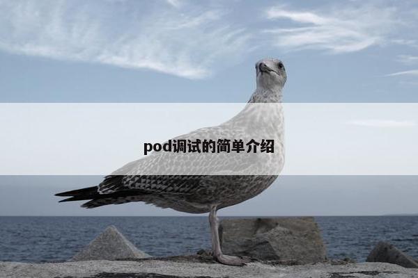 pod调试的简单介绍