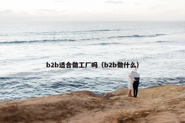 b2b适合做工厂吗（b2b做什么）