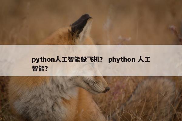 python人工智能躲飞机？ phython 人工智能？