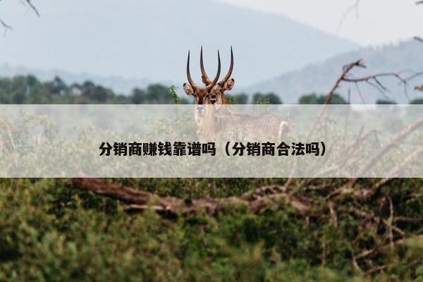 分销商赚钱靠谱吗（分销商合法吗）