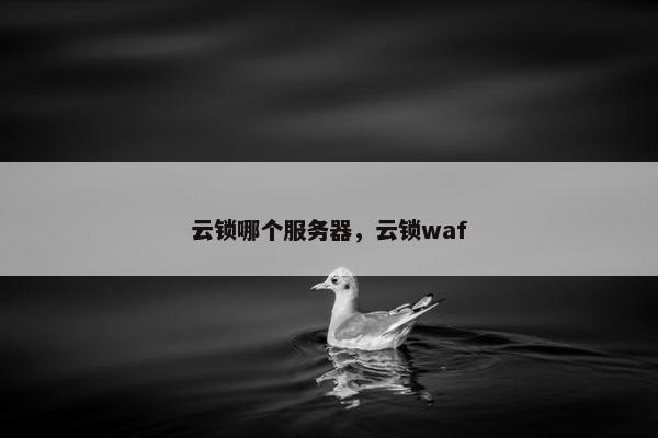 云锁哪个服务器，云锁waf