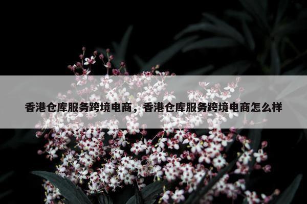 香港仓库服务跨境电商，香港仓库服务跨境电商怎么样