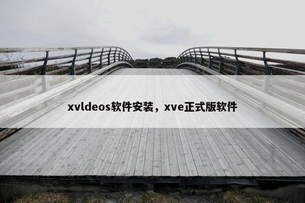xvldeos软件安装，xve正式版软件