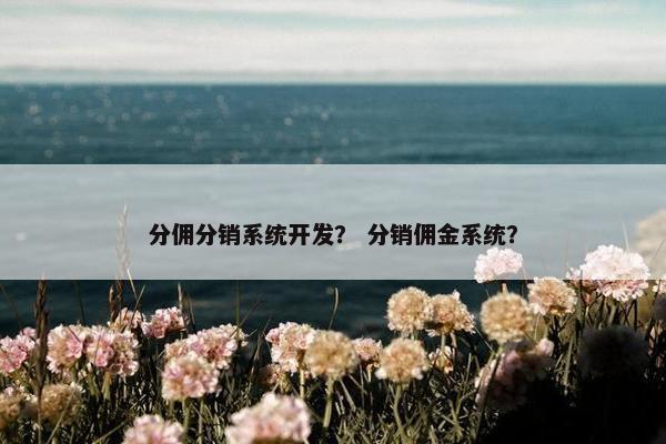 分佣分销系统开发? 分销佣金系统?