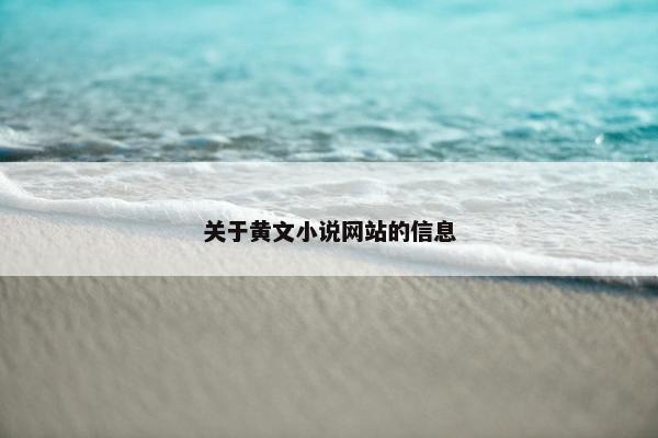 关于黄文小说网站的信息