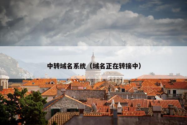 中转域名系统（域名正在转接中）