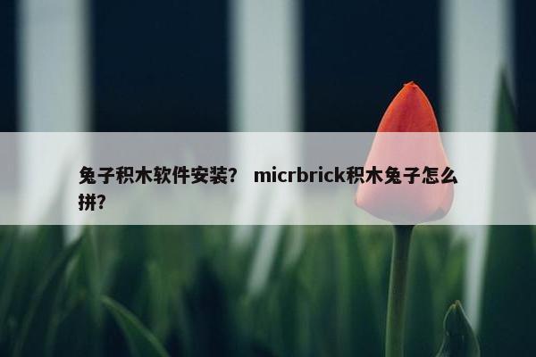 兔子积木软件安装？ micrbrick积木兔子怎么拼？