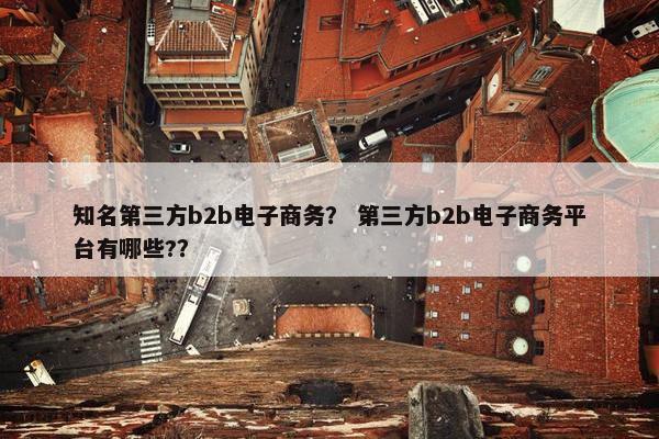 知名第三方b2b电子商务? 第三方b2b电子商务平台有哪些??