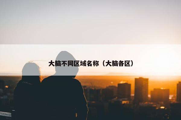 大脑不同区域名称（大脑各区）