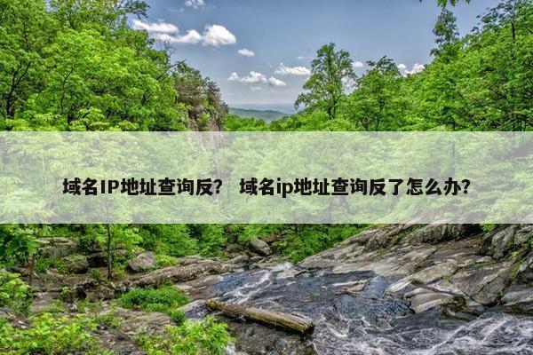 域名IP地址查询反？ 域名ip地址查询反了怎么办？