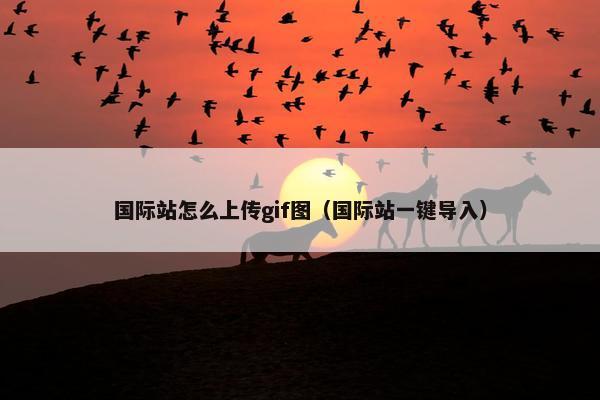 国际站怎么上传gif图（国际站一键导入）