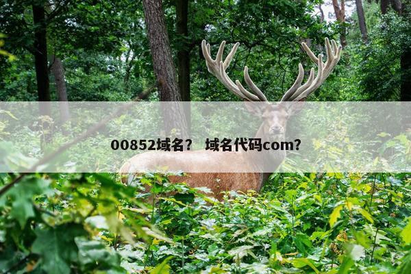 00852域名？ 域名代码com？