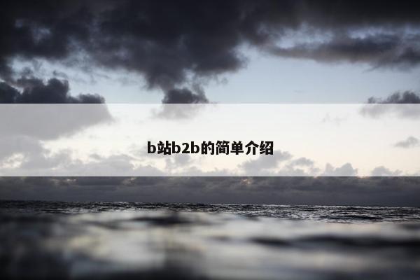 b站b2b的简单介绍