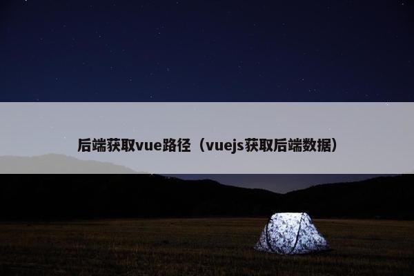 后端获取vue路径（vuejs获取后端数据）