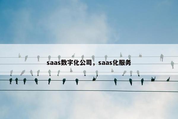 saas数字化公司，saas化服务