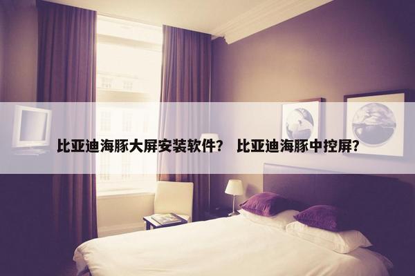 比亚迪海豚大屏安装软件？ 比亚迪海豚中控屏？