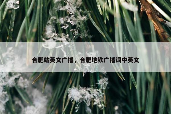 合肥站英文广播，合肥地铁广播词中英文