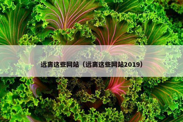 远离这些网站（远离这些网站2019）