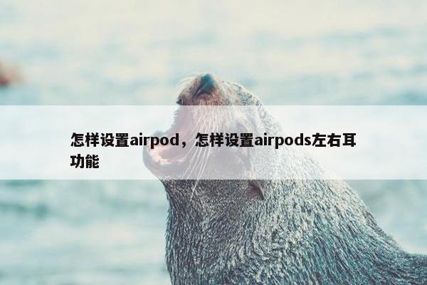 怎样设置airpod,怎样设置airpods左右耳功能