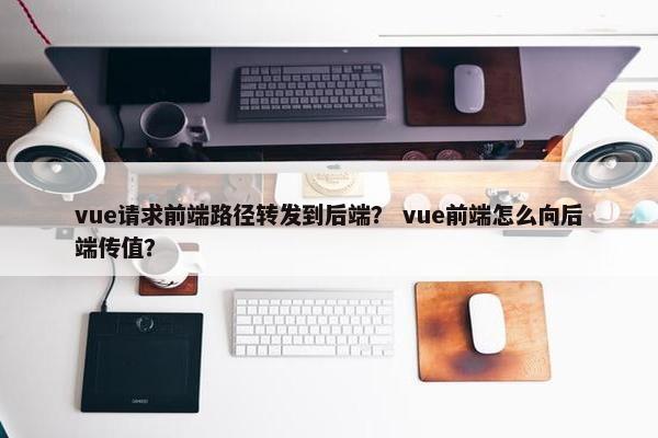 vue请求前端路径转发到后端？ vue前端怎么向后端传值？