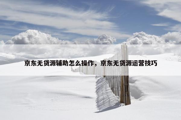 京东无货源辅助怎么操作,京东无货源运营技巧