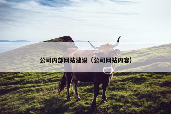 公司内部网站建设（公司网站内容）