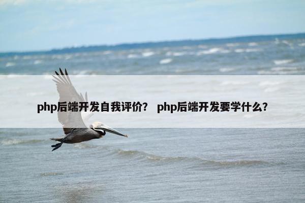php后端开发自我评价？ php后端开发要学什么？